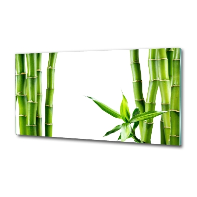 Glass wall art Bamboo