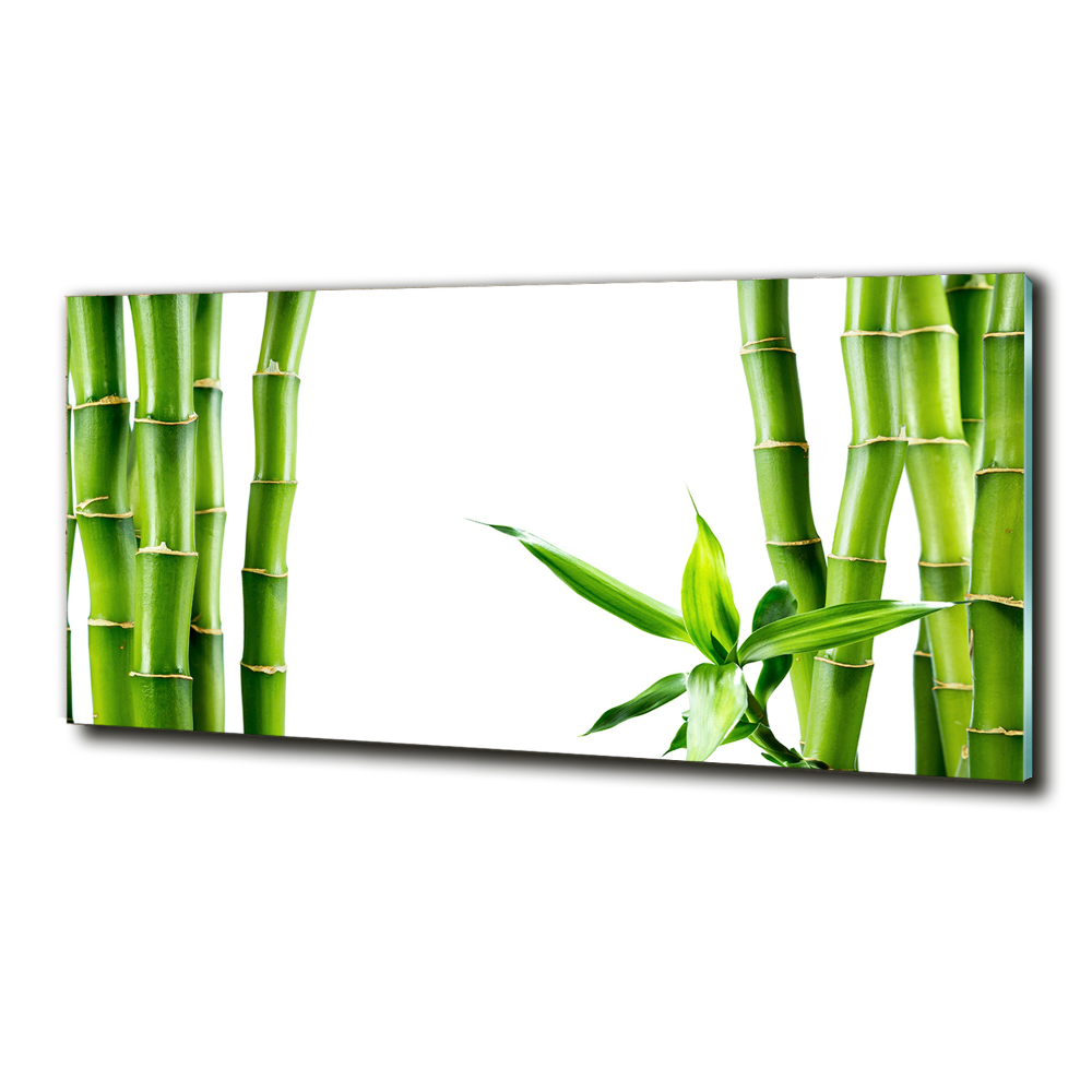 Glass wall art Bamboo