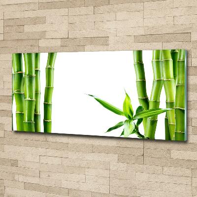 Glass wall art Bamboo