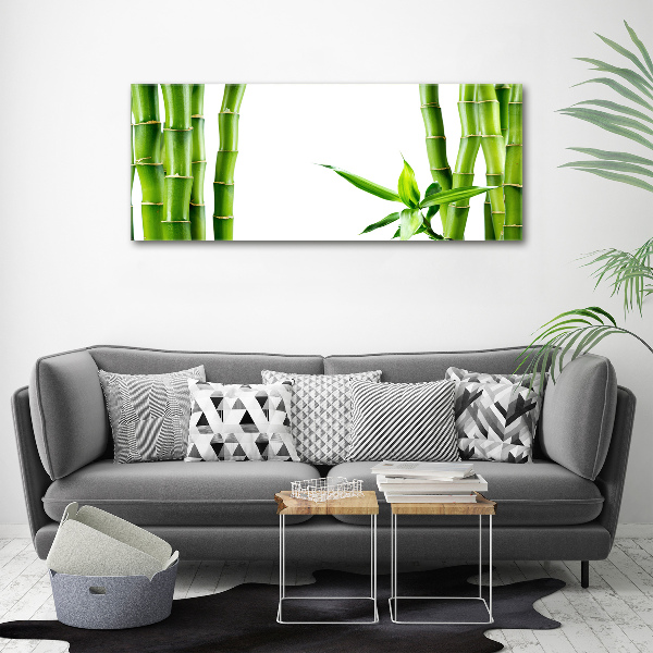 Glass wall art Bamboo