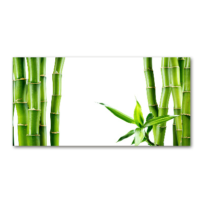 Glass wall art Bamboo