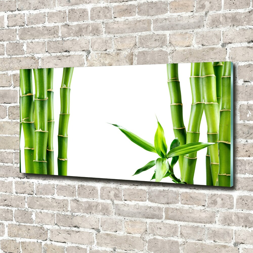 Glass wall art Bamboo