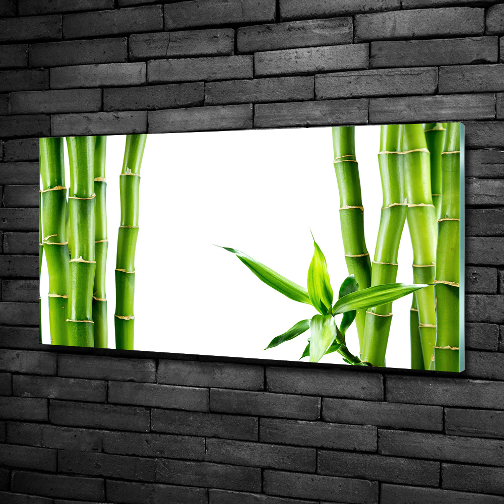 Glass wall art Bamboo