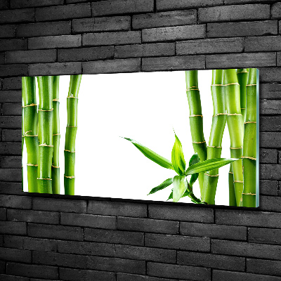 Glass wall art Bamboo