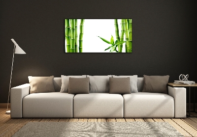 Glass wall art Bamboo