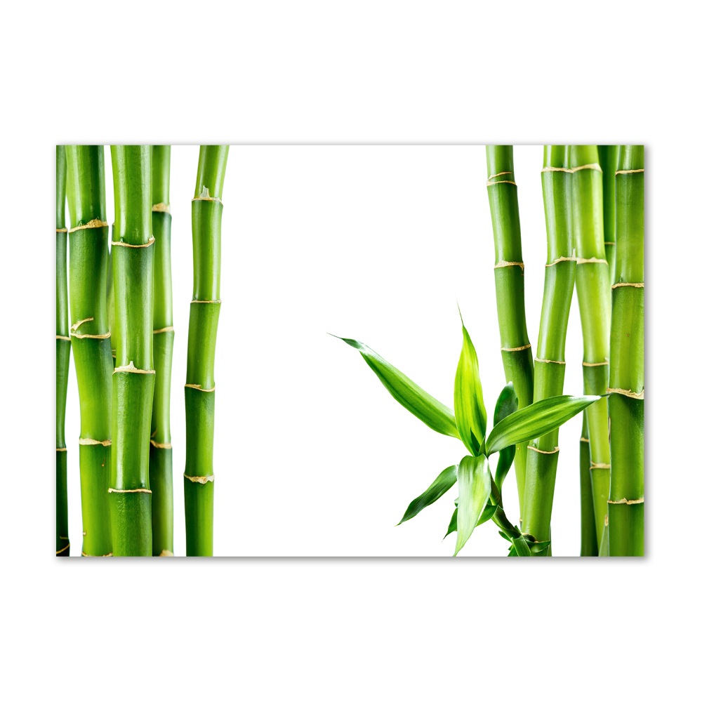 Glass wall art Bamboo