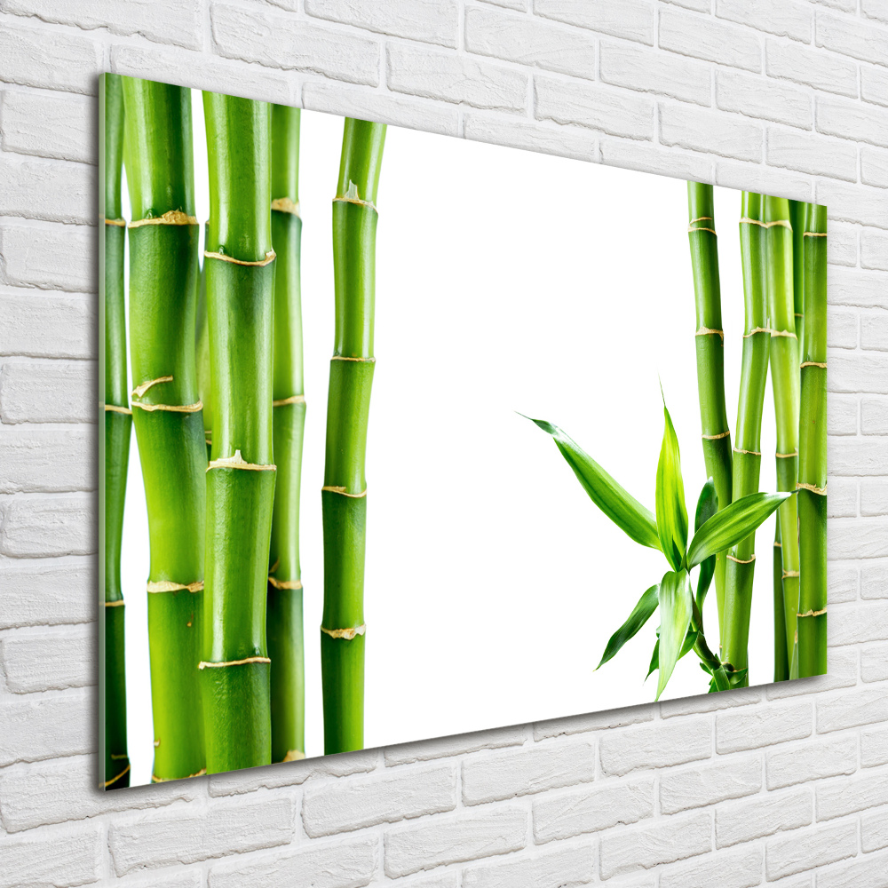 Glass wall art Bamboo