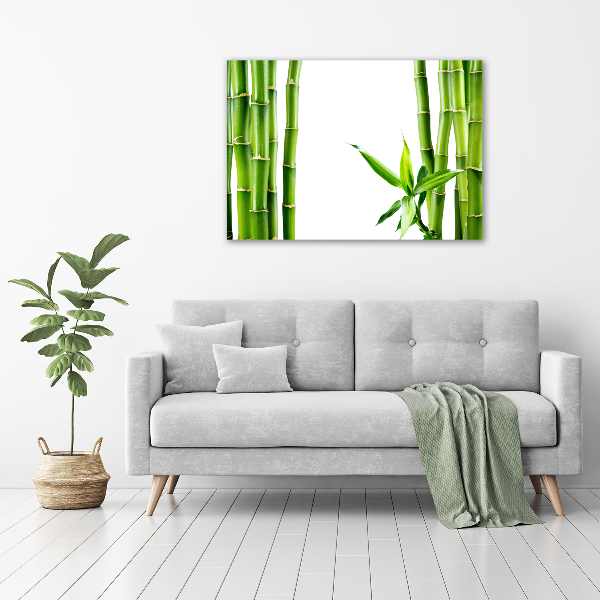 Glass wall art Bamboo