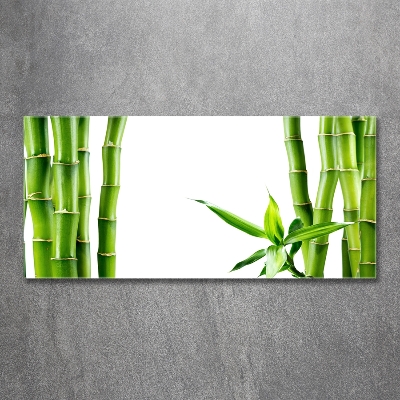 Glass wall art Bamboo