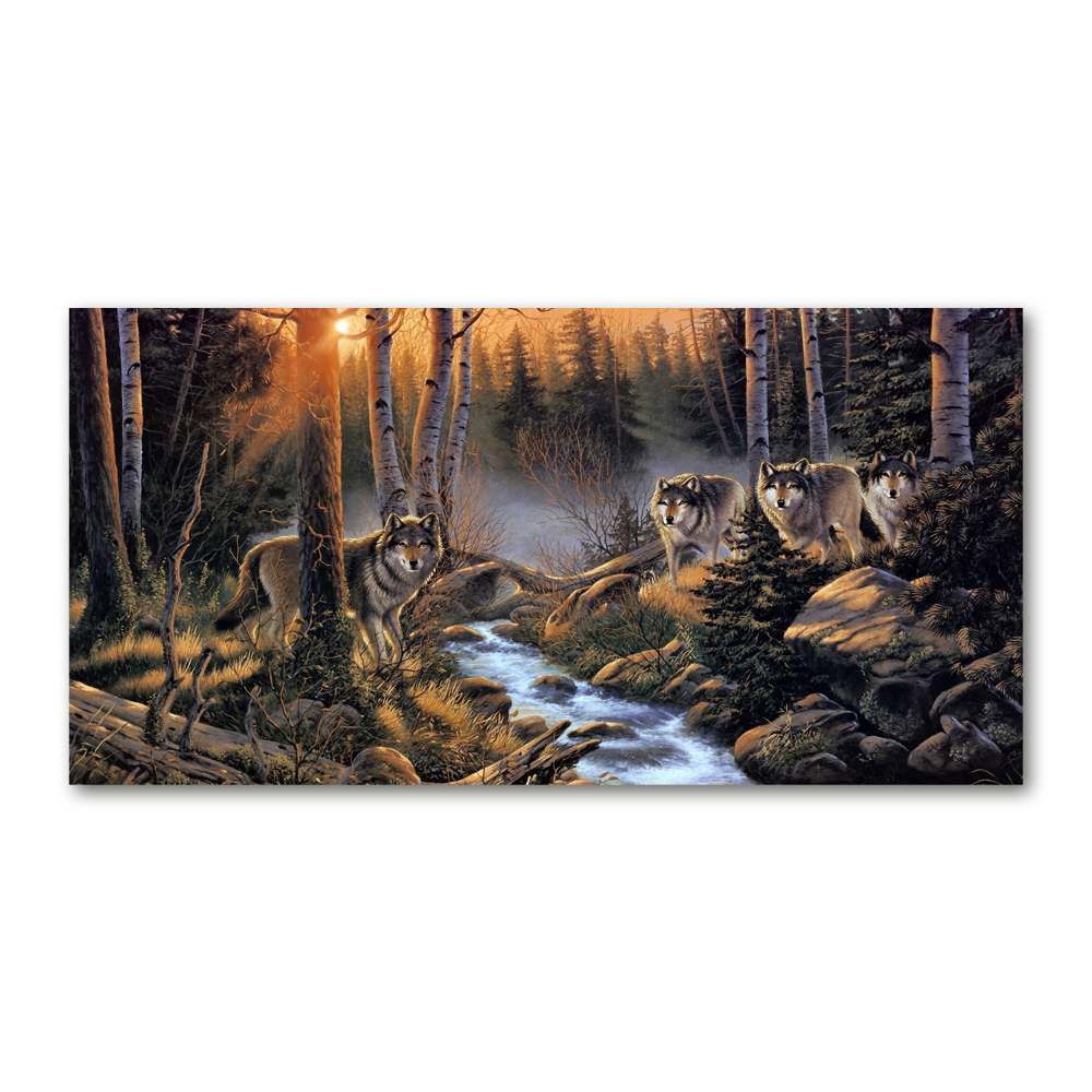 Glass picture print Pack of wolves