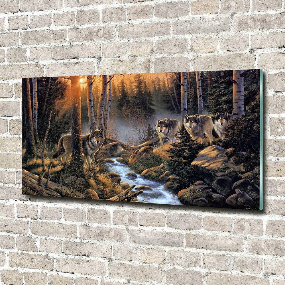 Glass picture print Pack of wolves