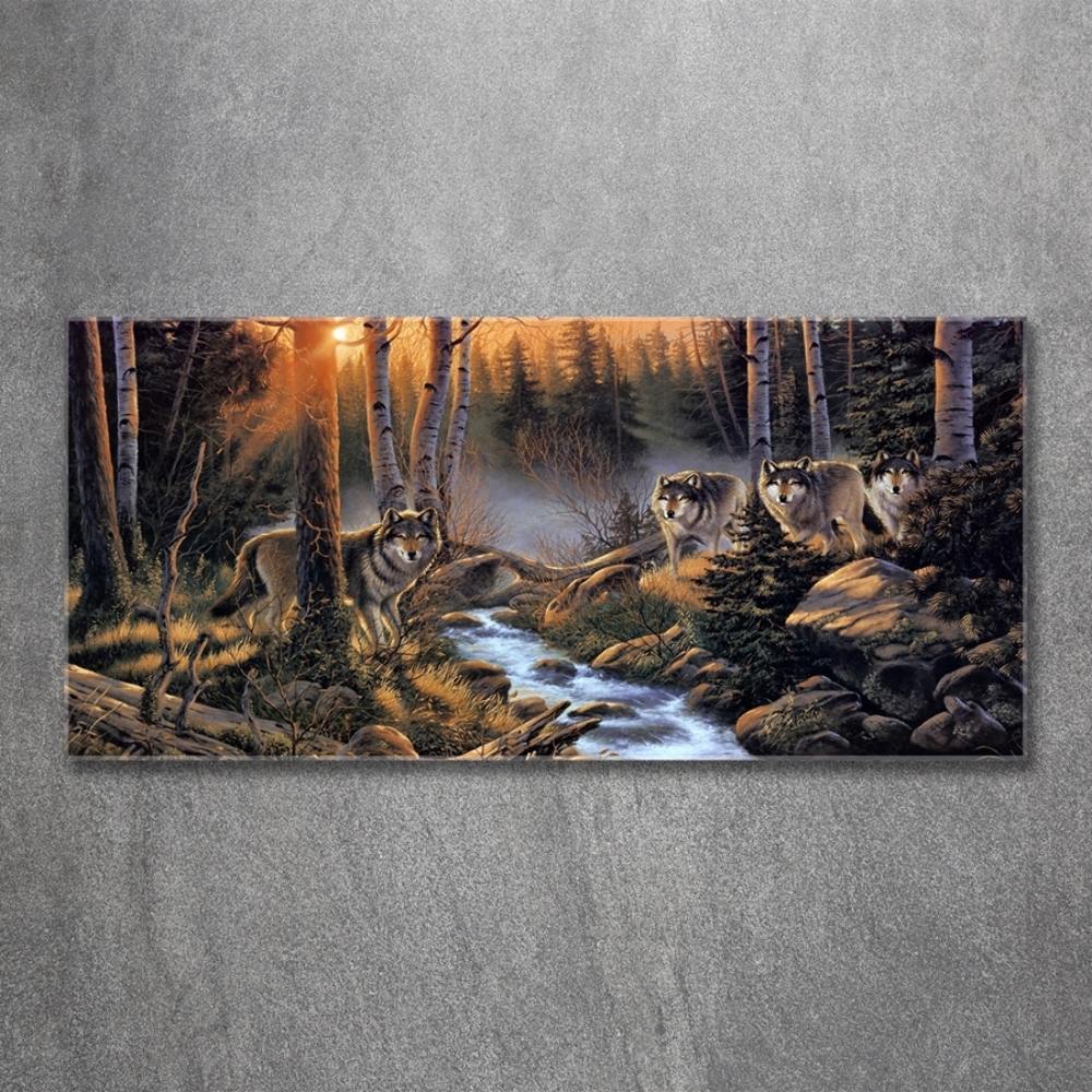 Glass picture print Pack of wolves