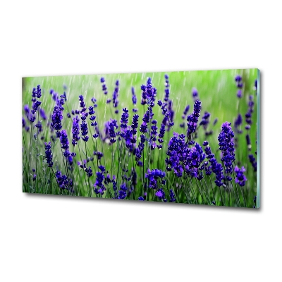 Wall art on glass Lavender