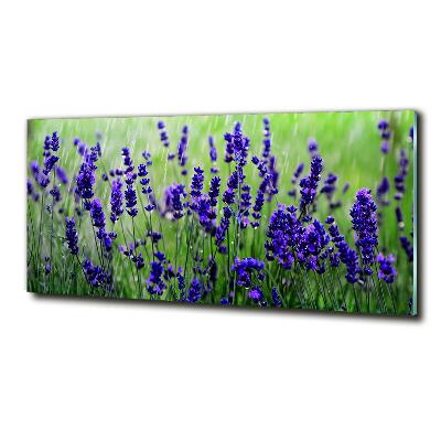 Wall art on glass Lavender