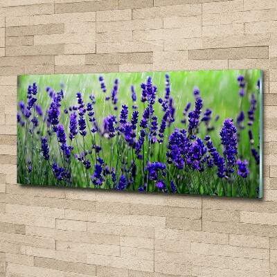 Wall art on glass Lavender