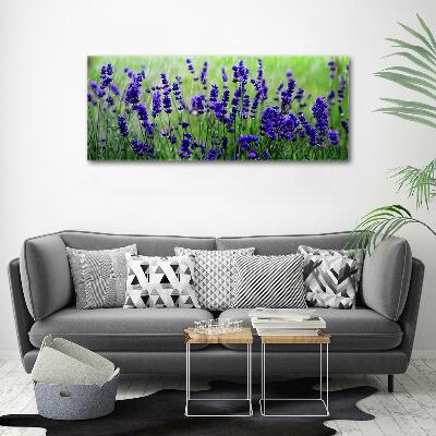 Wall art on glass Lavender