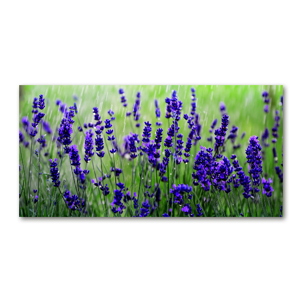 Wall art on glass Lavender