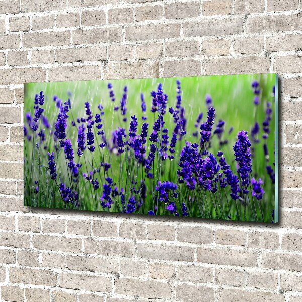 Wall art on glass Lavender