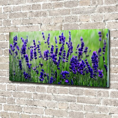 Wall art on glass Lavender