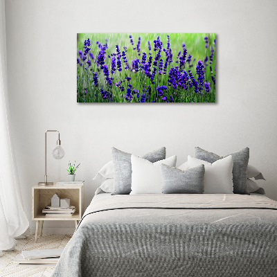 Wall art on glass Lavender