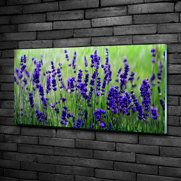 Wall art on glass Lavender