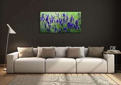 Wall art on glass Lavender