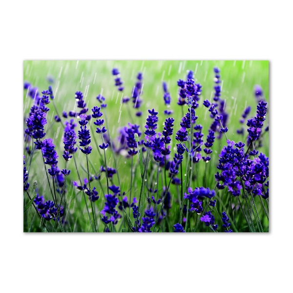 Wall art on glass Lavender