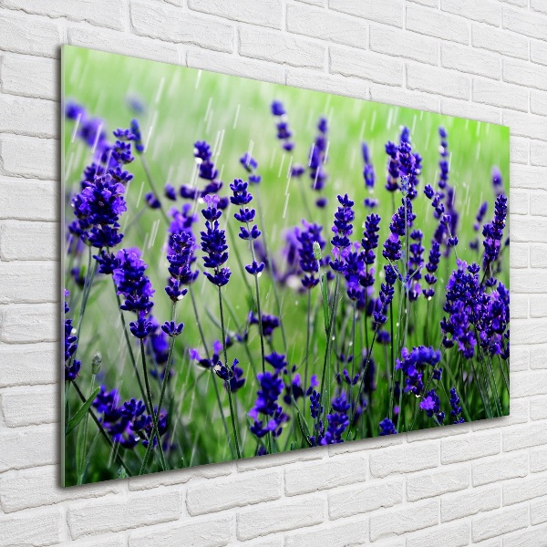 Wall art on glass Lavender