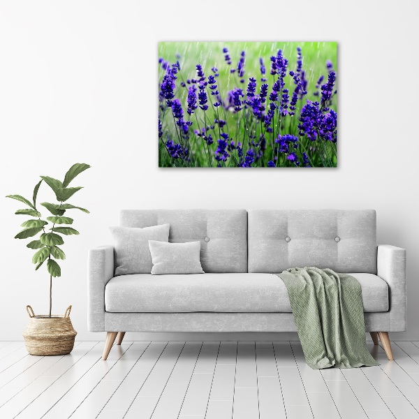 Wall art on glass Lavender