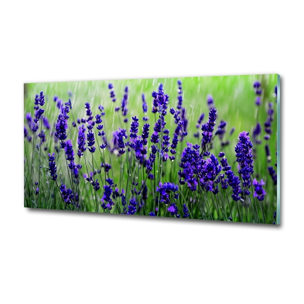 Wall art on glass Lavender