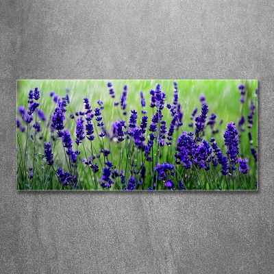 Wall art on glass Lavender