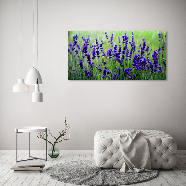 Wall art on glass Lavender