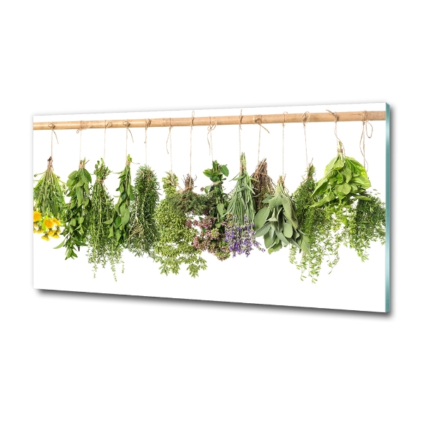 Wall art on glass Herbs on a string