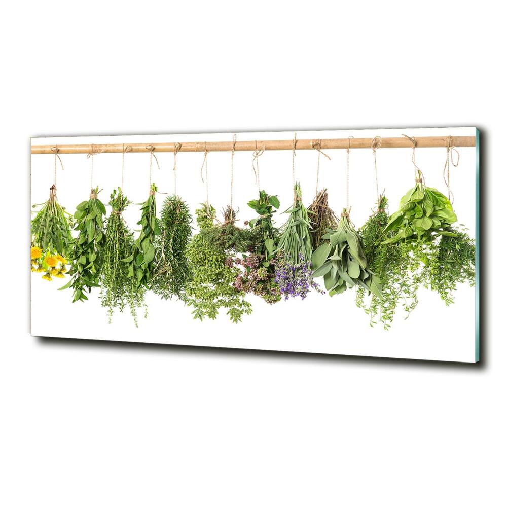 Wall art on glass Herbs on a string