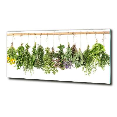 Wall art on glass Herbs on a string