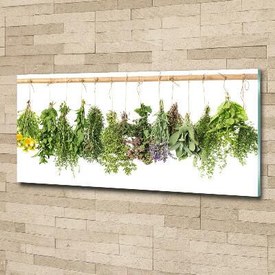 Wall art on glass Herbs on a string