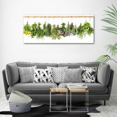 Wall art on glass Herbs on a string