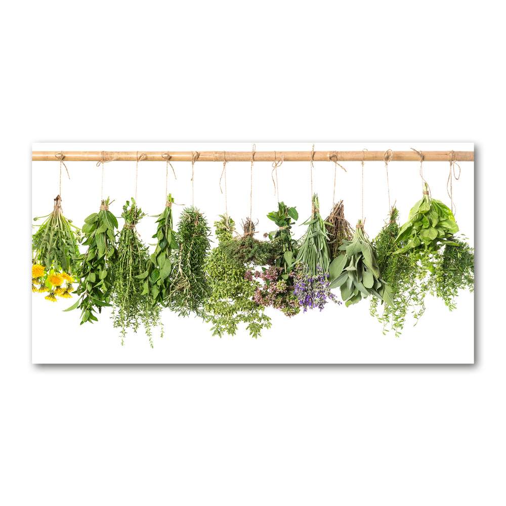 Wall art on glass Herbs on a string