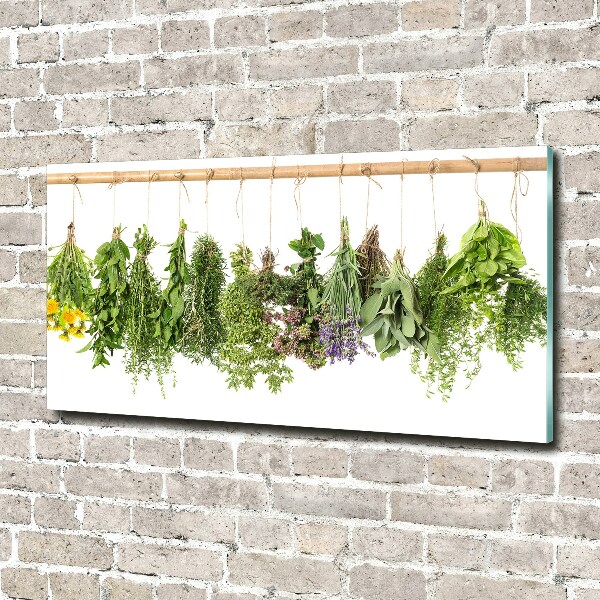 Wall art on glass Herbs on a string