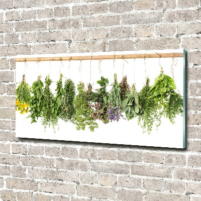 Wall art on glass Herbs on a string