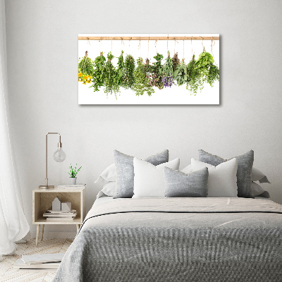 Wall art on glass Herbs on a string