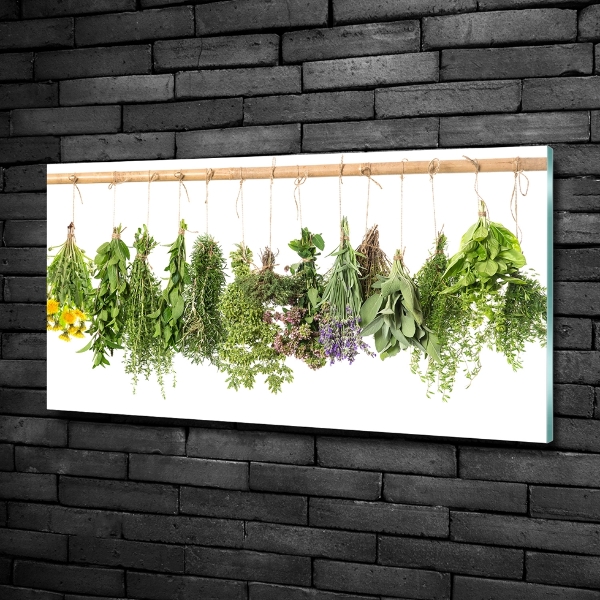 Wall art on glass Herbs on a string