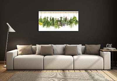 Wall art on glass Herbs on a string