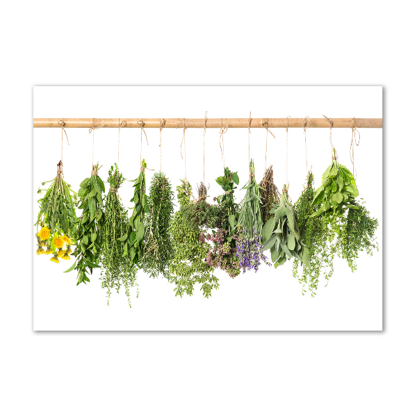 Wall art on glass Herbs on a string