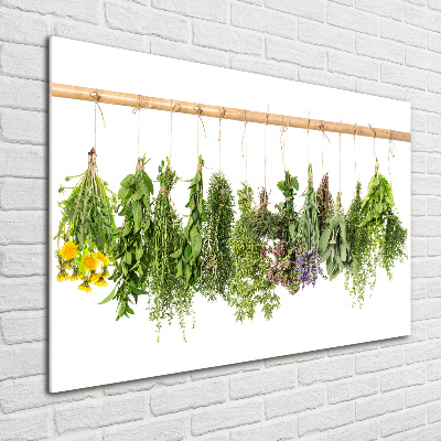 Wall art on glass Herbs on a string