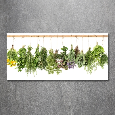 Wall art on glass Herbs on a string