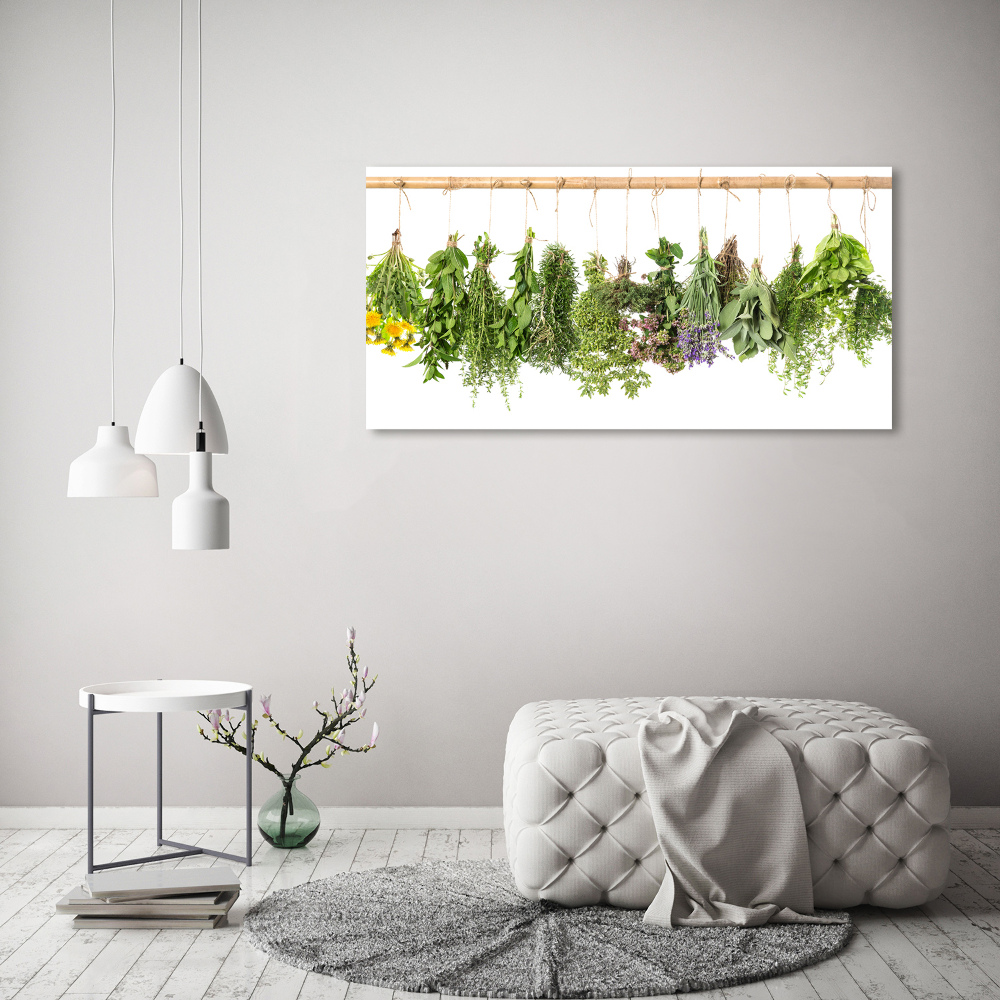 Wall art on glass Herbs on a string