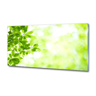 Glass art print Leaves