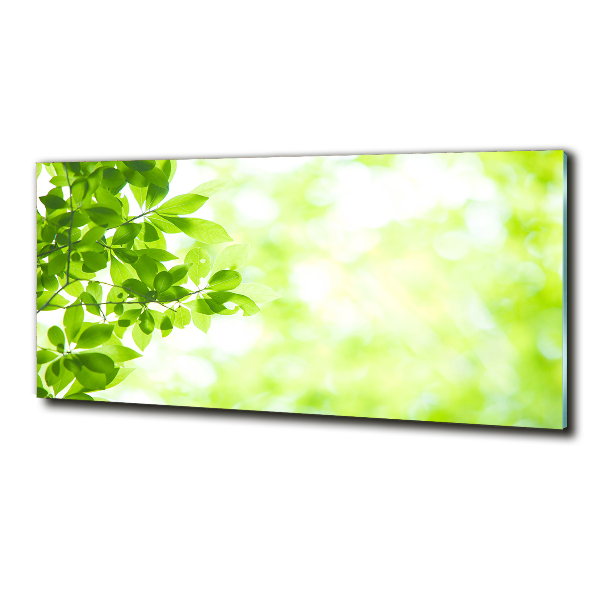 Glass art print Leaves