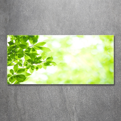 Glass art print Leaves